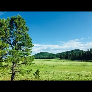 Meet your Posher, Adisa